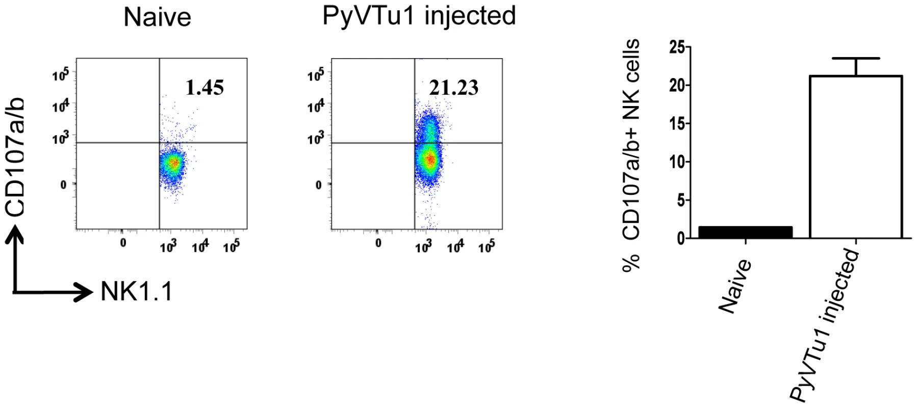 CD107 a/b staining of NK cells from PEC of TCRβ KO mice injected with PyVTu1 cells in-vivo indicates cytotoxic potential.