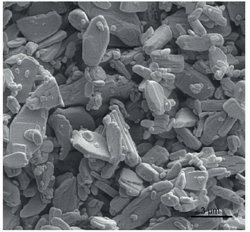 Krystaly triamcinolonu hexacetonidu (elektronoptický obraz).