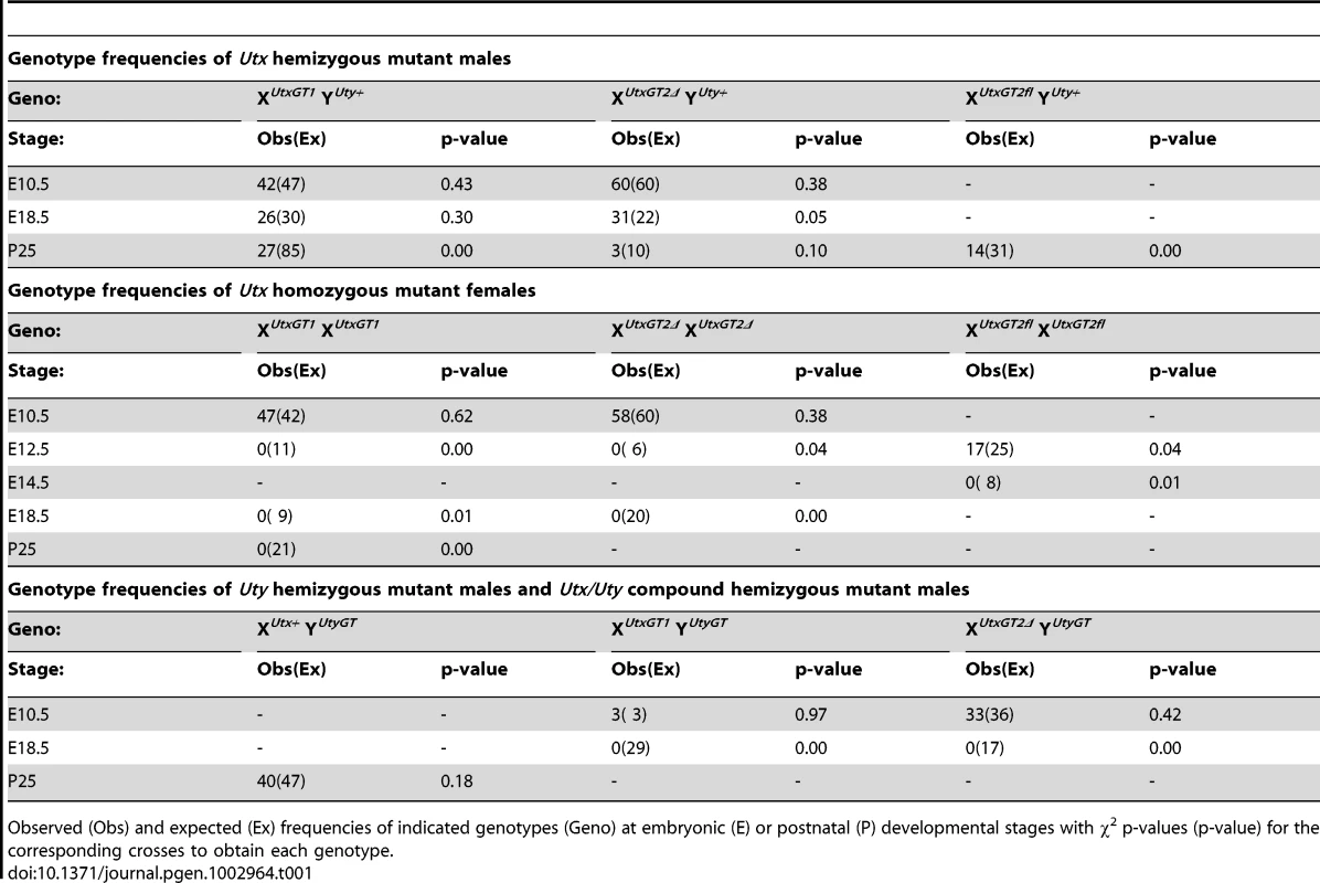 Genotype frequencies of <i>Utx</i> and <i>Uty</i> mutant mice.
