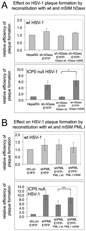 The SIMs of PML and hDaxx are required for repression of ICP0 null mutant HSV-1 plaque formation.