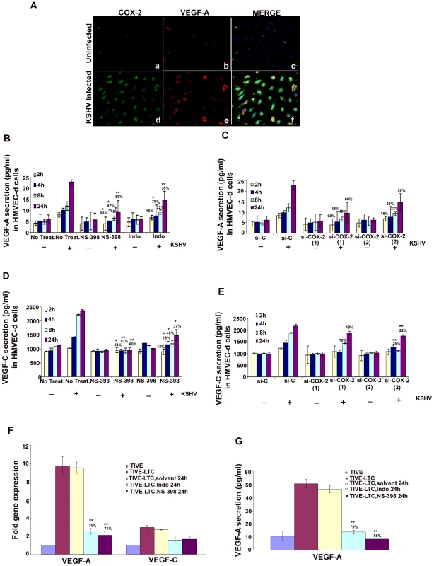 Role of COX-2 in KSHV-induced VEGF-A and C.