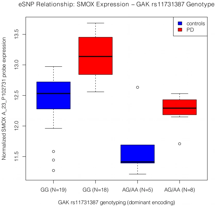 Expression by genotype relationship between the <i>SMOX</i> probe, A_23_P102731, and the <i>GAK</i> SNP, rs11731387.