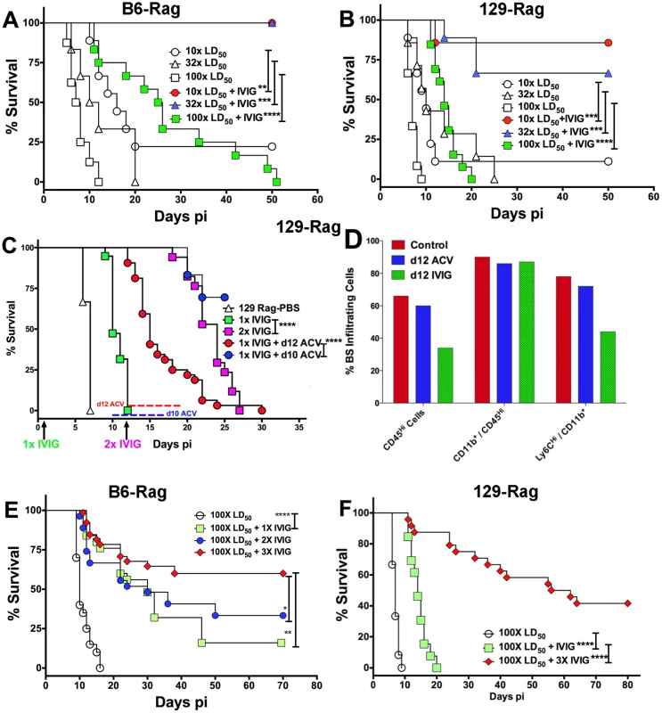 IVIG protection of Rag mice is HSV1 dose dependent.