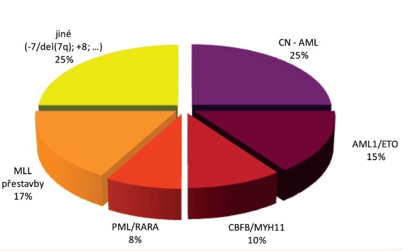 Rozložení nejvýznamnějších genetických aberací u dětské AML.