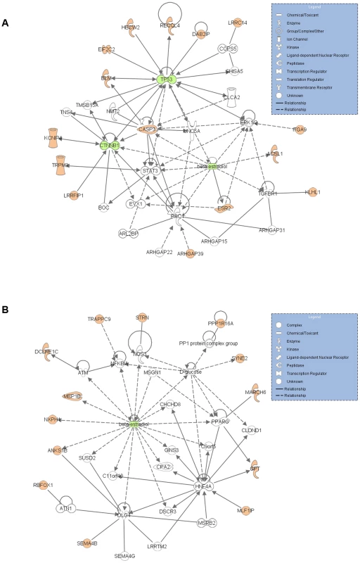 Indication of dysfunction of <i>TP53</i> and β-estradiol centered network in the studied breast cancer cases.