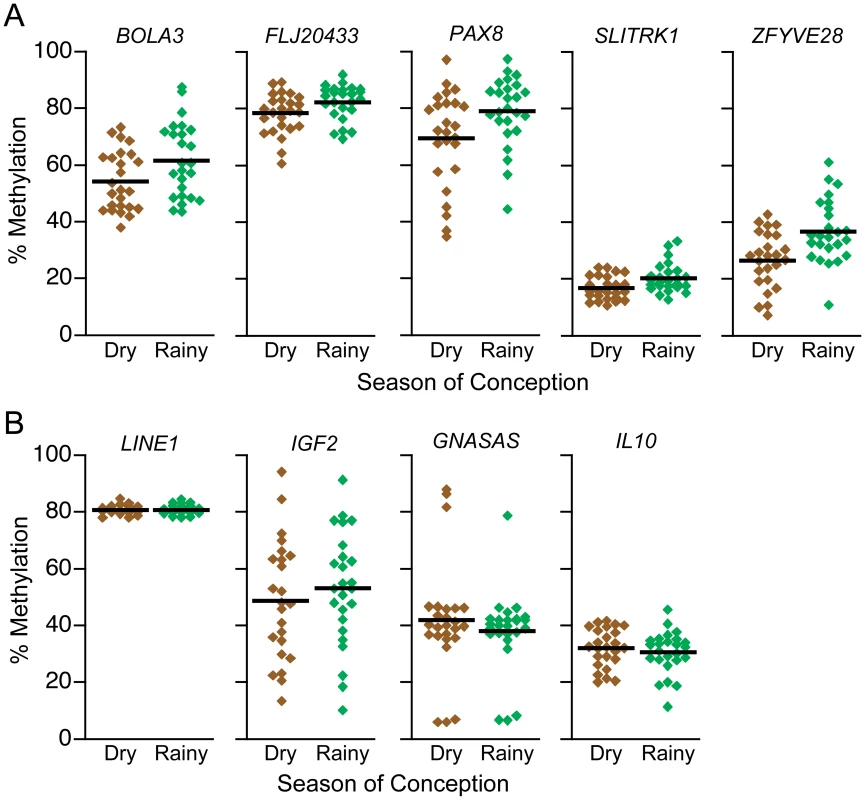 DNA methylation at putative MEs is influenced by season of conception in the Gambia.