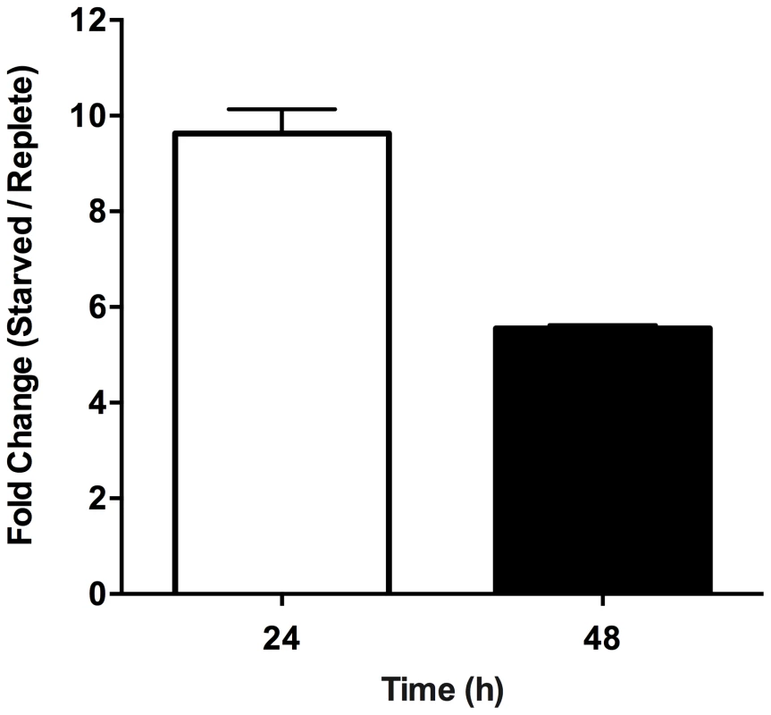 Effect of purine starvation on intracellular proline levels.