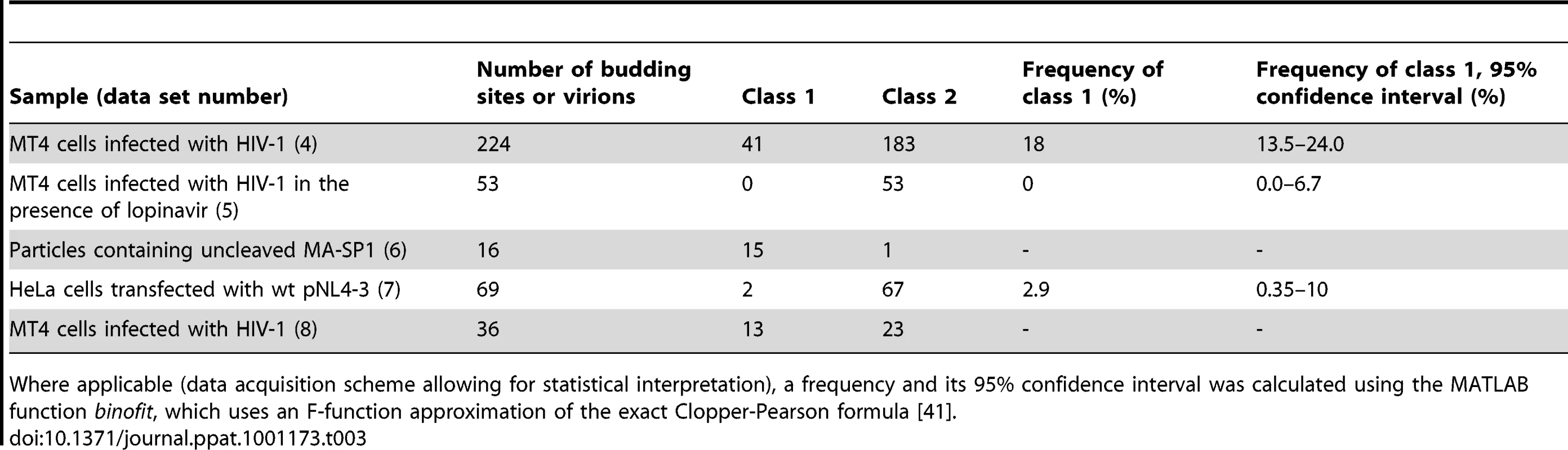 Number of budding sites or virions assigned to class 1 and class 2 Gag layer morphology, respectively, for the different sample groups.