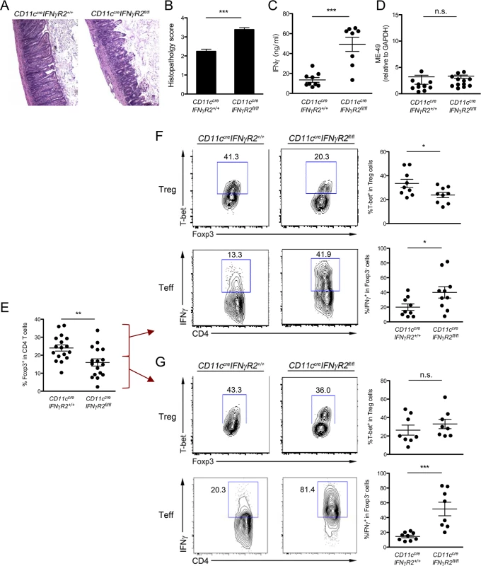 Reduced T-bet<sup>+</sup> Th1-Treg cells in <i>CD11c</i><sup><i>cre</i></sup><i>IFNγR2</i><sup><i>fl/fl</i></sup> mice resulted in unrestrained IFNγ-mediated Th1 inflammation during <i>T</i>. <i>gondii</i> infection.