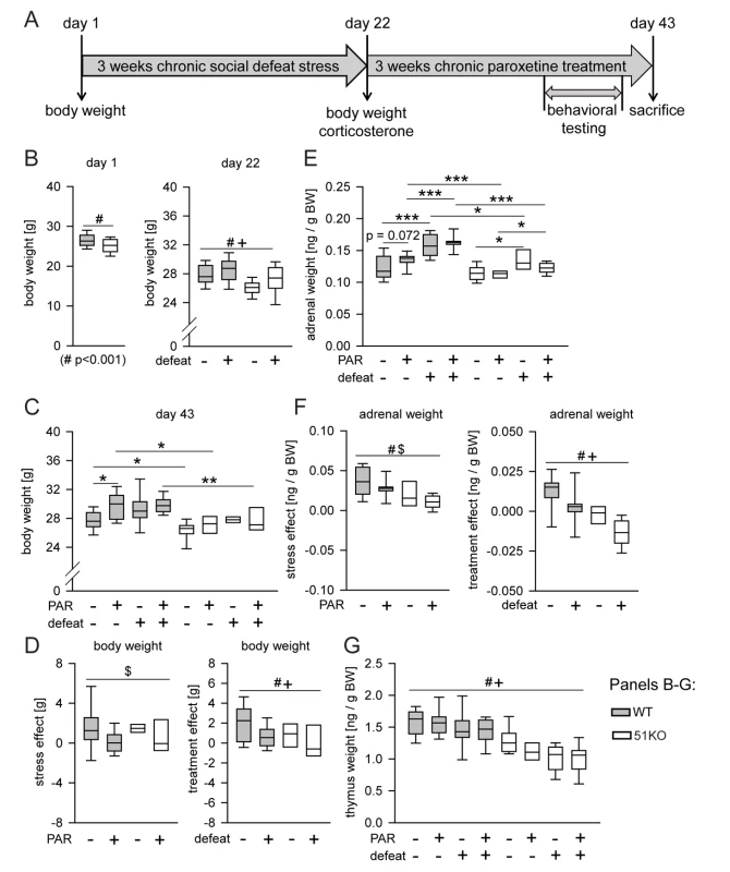 Deletion of FKBP51 diminishes the physiological effects of chronic stress and chronic PAR treatment.
