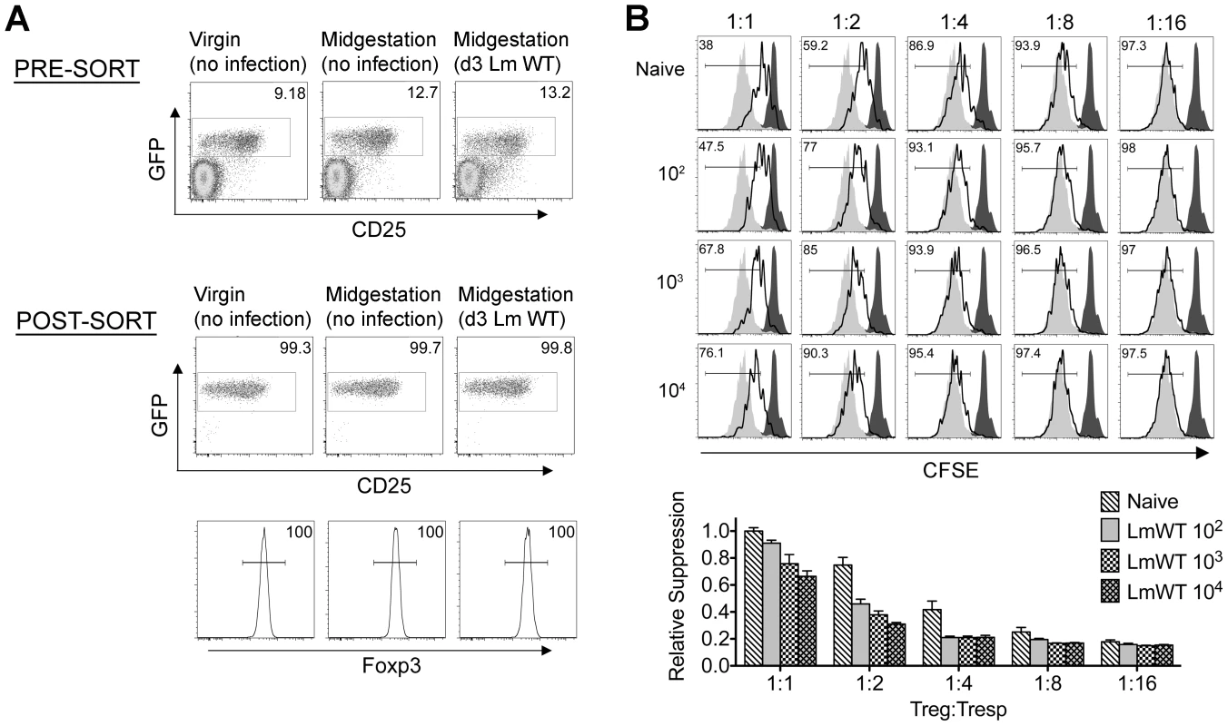 <i>Listeria monocytogenes</i> infection during pregnancy dampens maternal Foxp3<sup>+</sup> regulatory CD4 T cell suppressive potency.