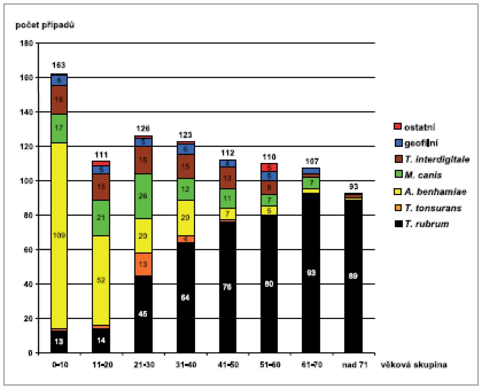 Původci tinea corporis a věková struktura pacientů (analýza 945 případů)