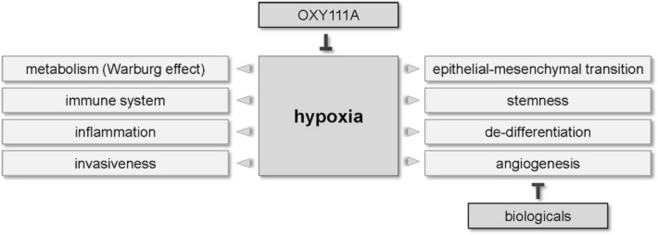 Effects of hypoxia in HPB tumors