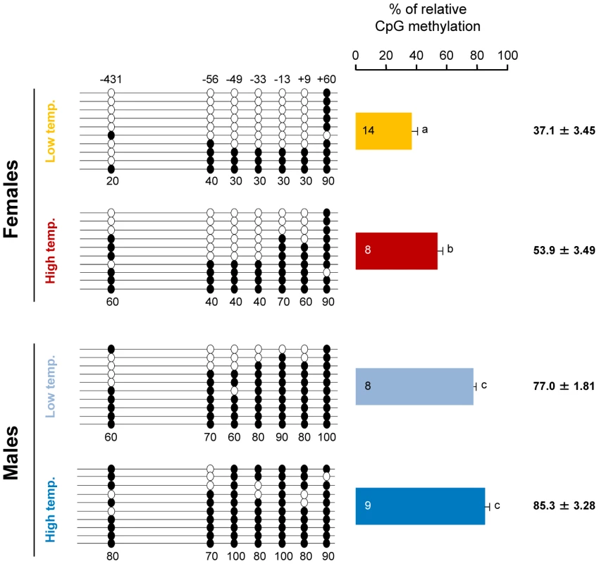 Resulting differences in sb <i>cyp19a</i> promoter methylation according to sex and temperature treatment.