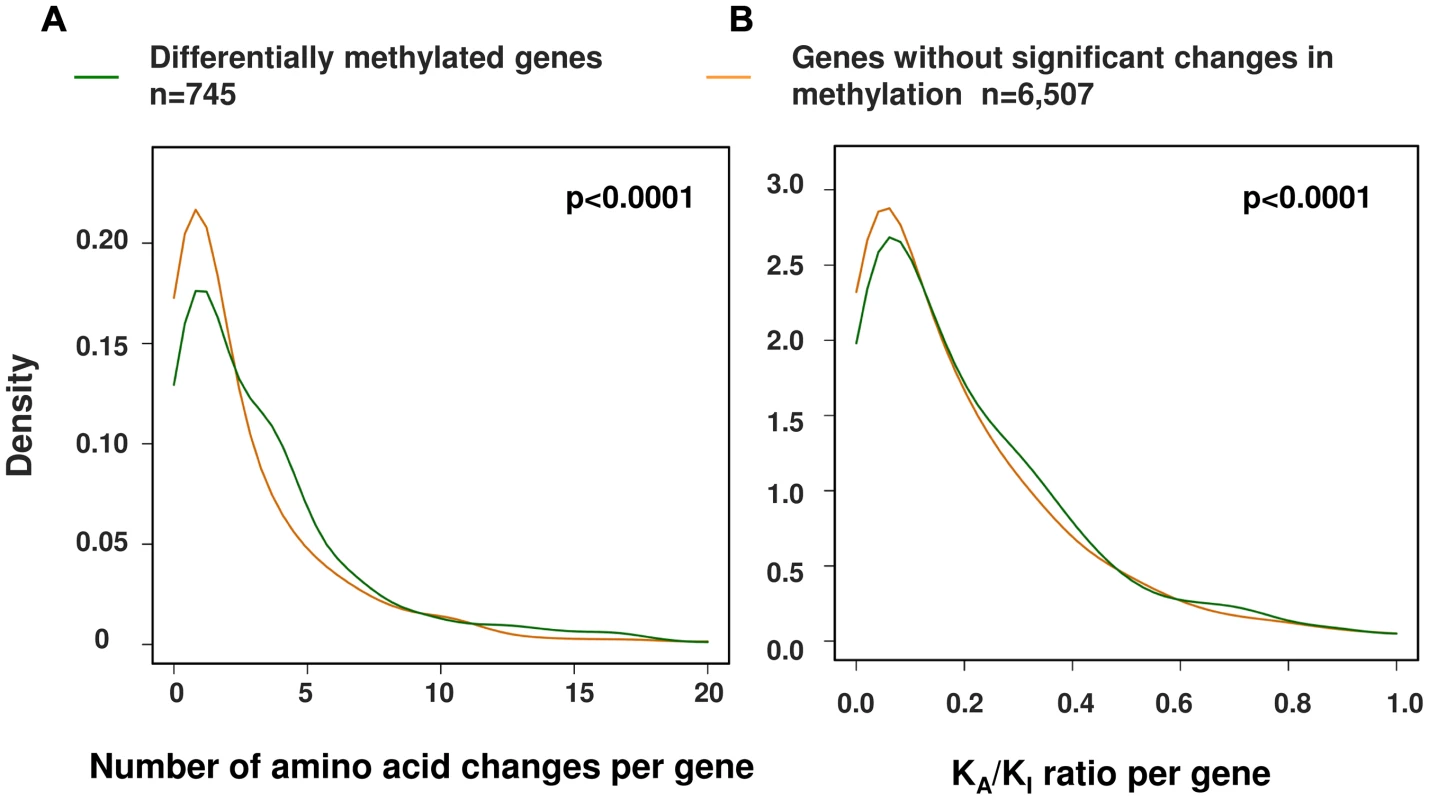A significant relationship between changes in promoter methylation and protein evolution between human and chimpanzee.