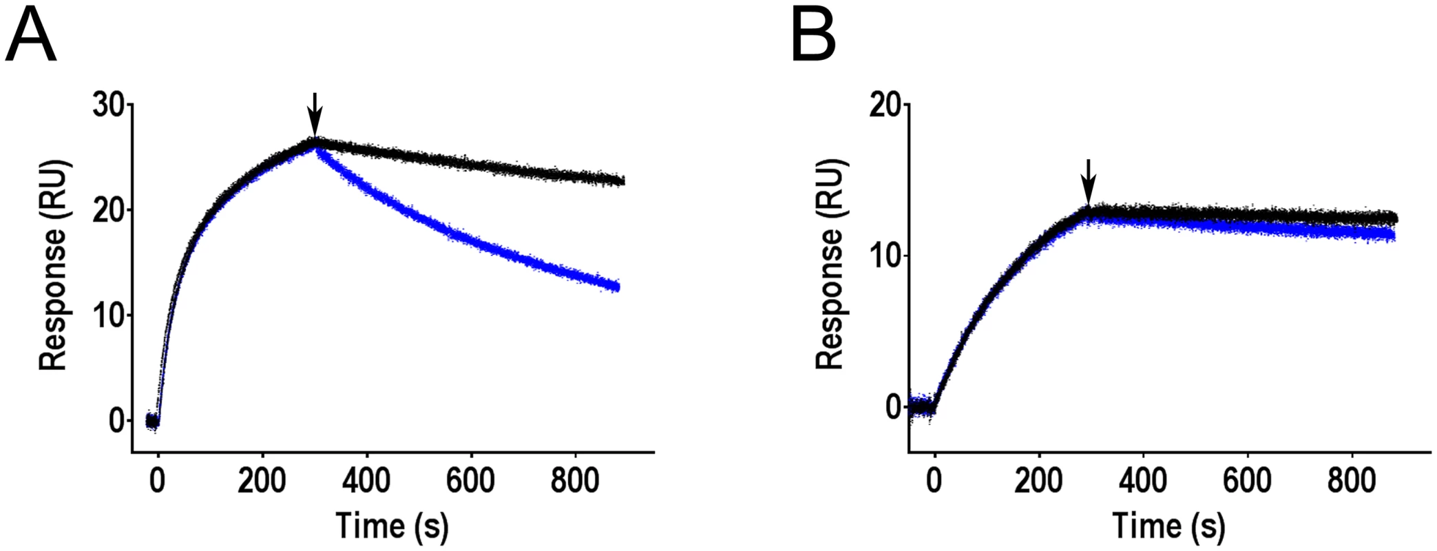Effect of mannose on antibodies bound to FimH as determined by surface plasmon resonance.