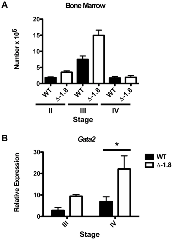 <i>Gata2</i> dysregulation during stress erythropoiesis in Δ-1.8 mice.