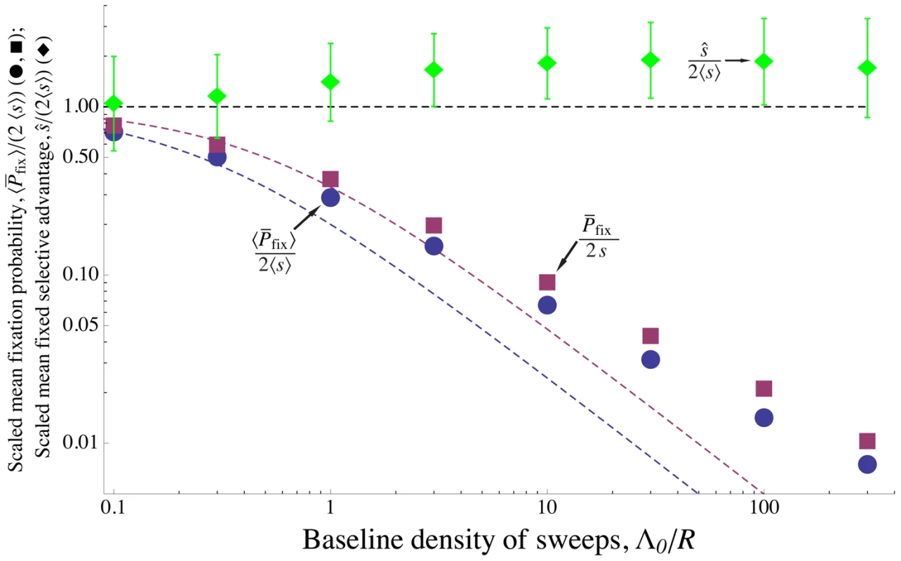 Effect of interference among alleles with a distribution of selective advantages.