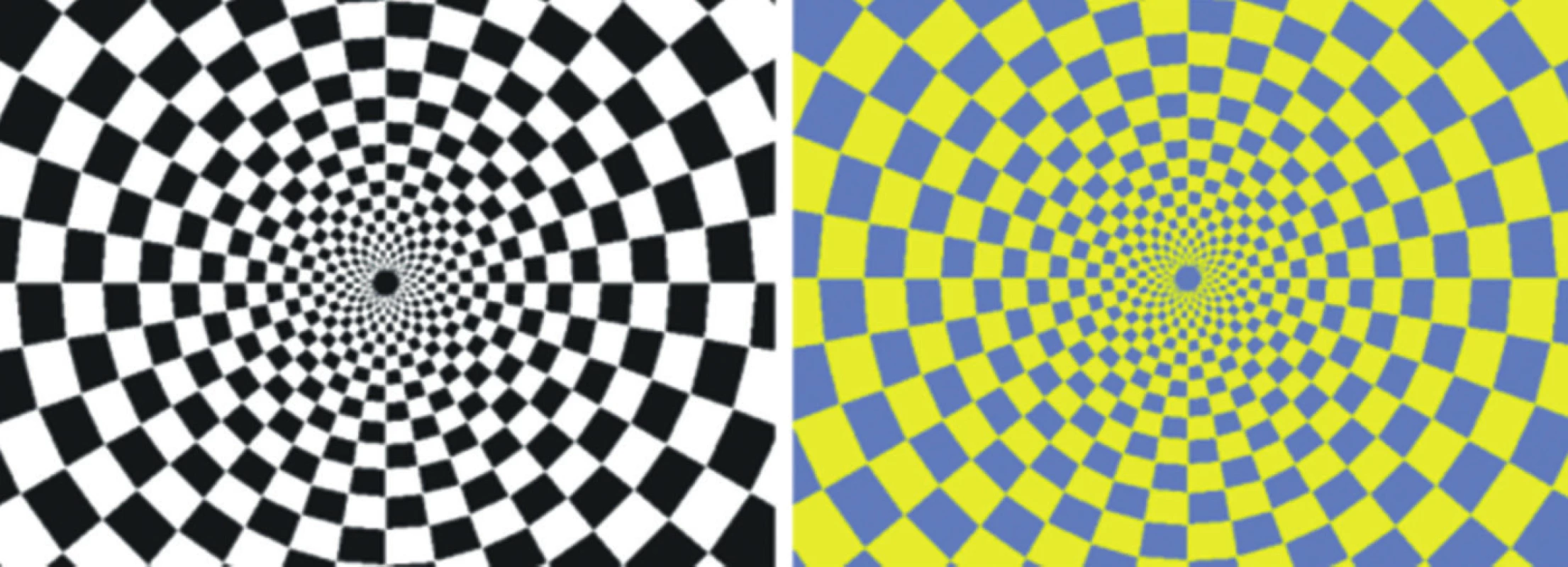 Šachovnicové pole černo-bílé stimulace (a) a žluto-modré stimulace (b). Během stimulace dochází k alternaci šachovnicového pole s jeho inverzí o frekvenci 2 Hz