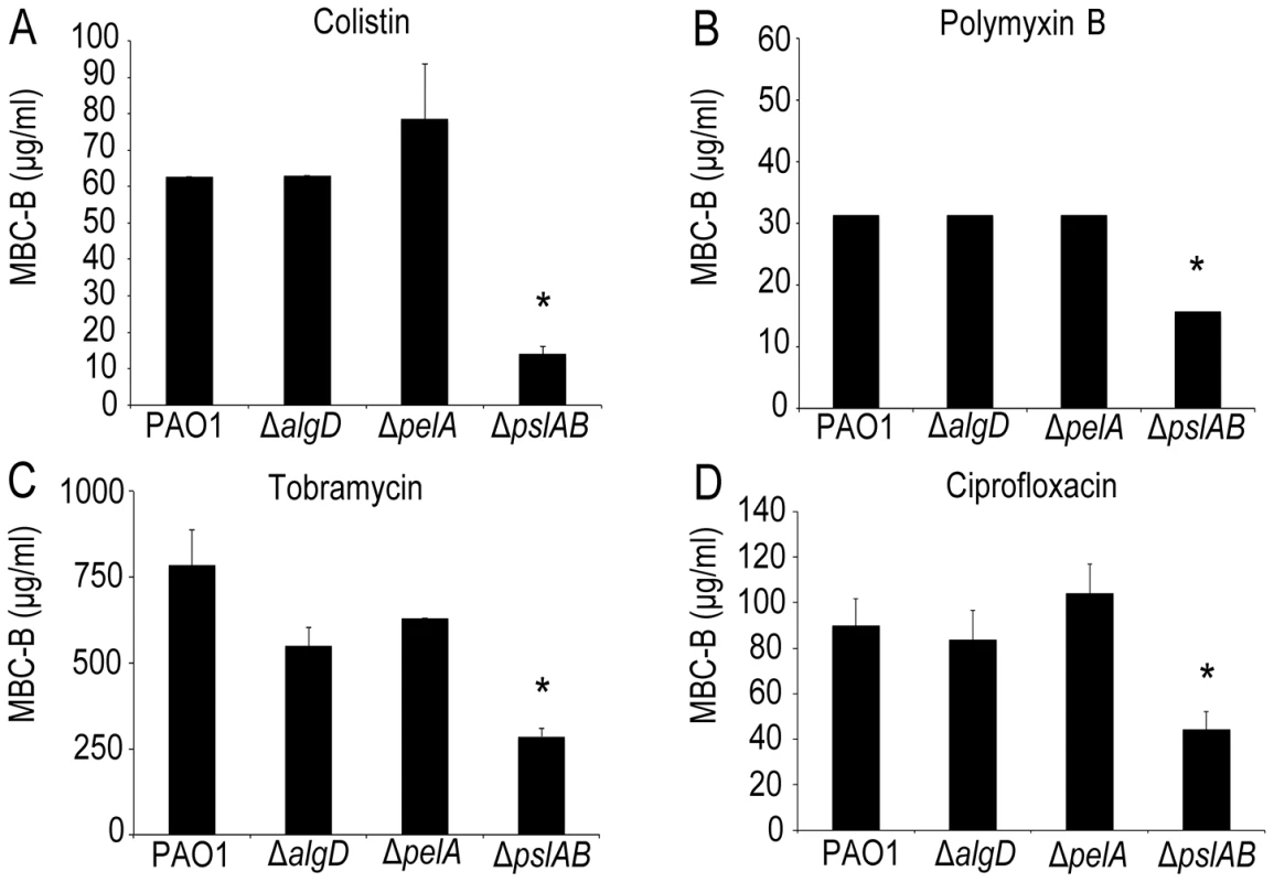 The exopolysaccharide Psl promotes <i>P.</i> <i>aeruginosa</i> biofilm tolerance to both cationic and anionic antibiotics.