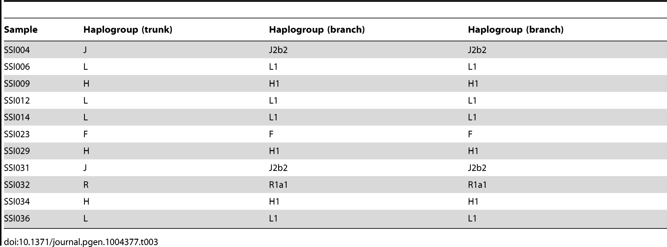 Chromosome Y haplogroup assignment for the 11 SSIP male samples.