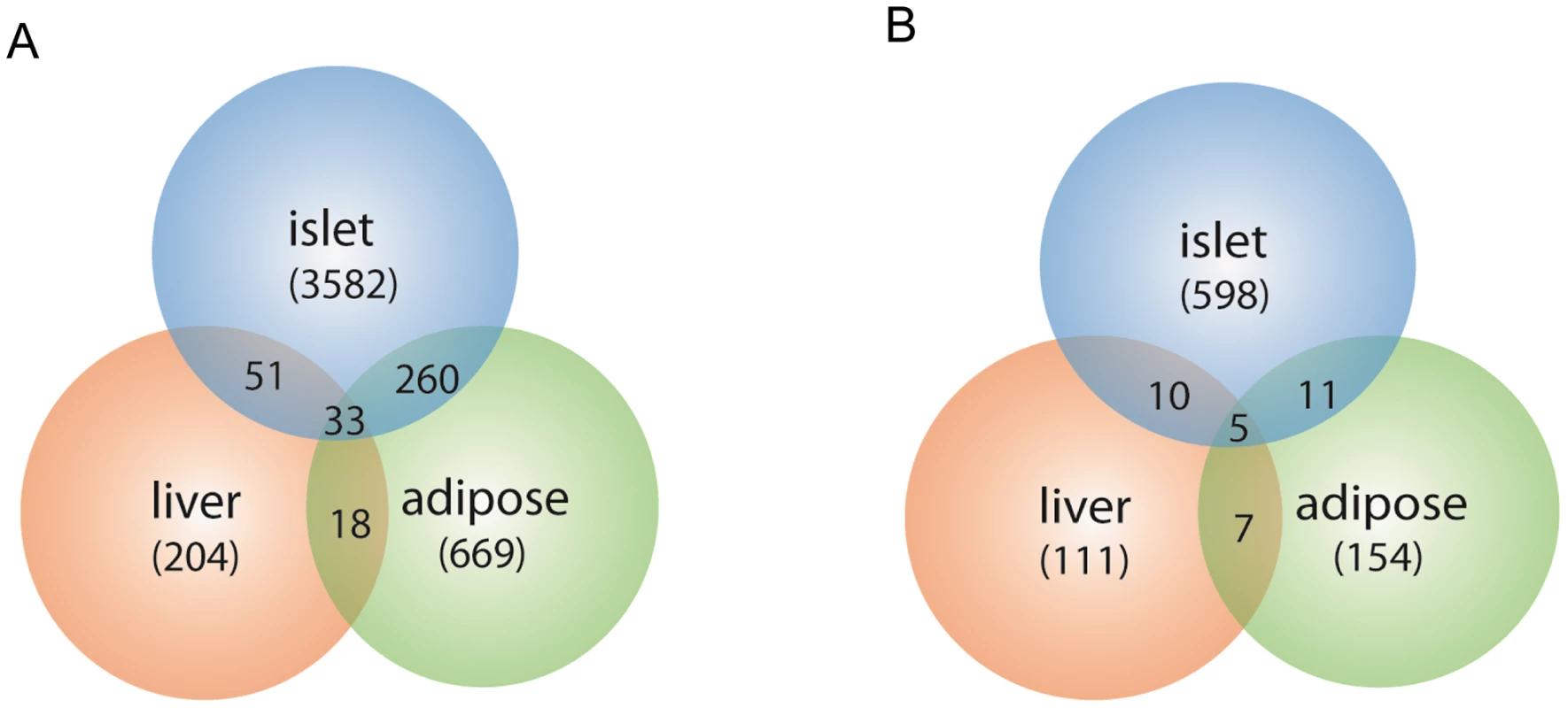 Number of gene transcripts in islet, liver, and white adipose tissue containing eQTLs that overlap with the insulin QTLs on chromosome 2 and chromosome 19.