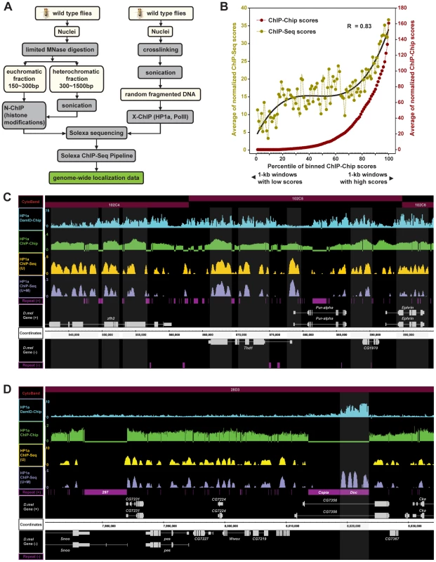 A modified ChIP-Seq method for high-resolution whole-genome mapping of chromatin modifications and the validation of the method.