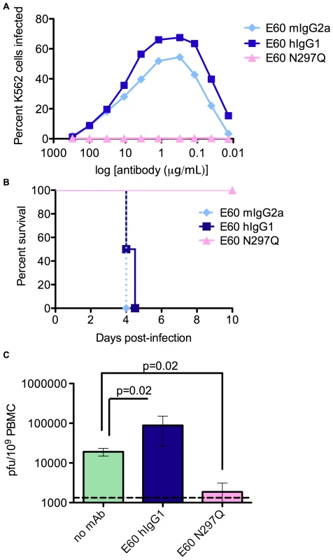 Antibodies with a mutated FcγR binding site cannot enhance DV infection <i>in vitro</i> or <i>in vivo</i>.