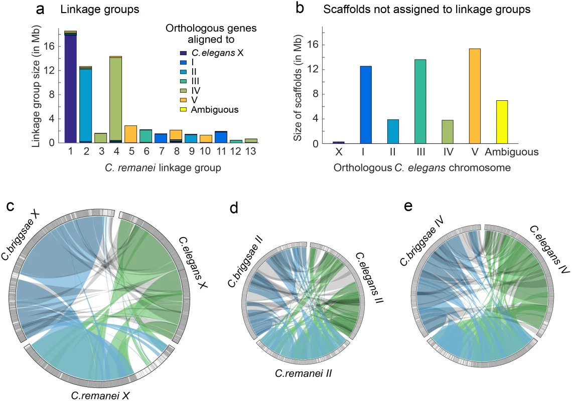 Whole chromosome comparisons among <i>C. elegans</i>, <i>C. briggsae</i>, and <i>C. remanei</i>.