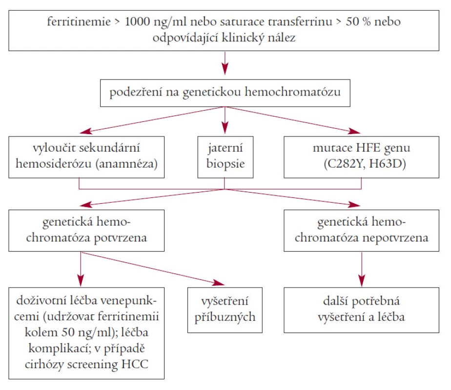 Schéma diagnostiky a léčby genetické hemochromatózy.