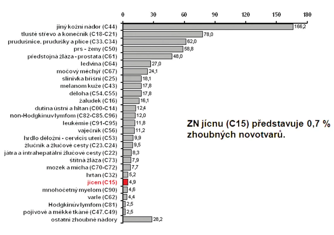 Incidence zhoubných novotvarů (ZN) v ČR v období 2004–2008
Fig. 1: Incidence of malignant neoplasms (MN) in the Czech Rep. during 2004–2008