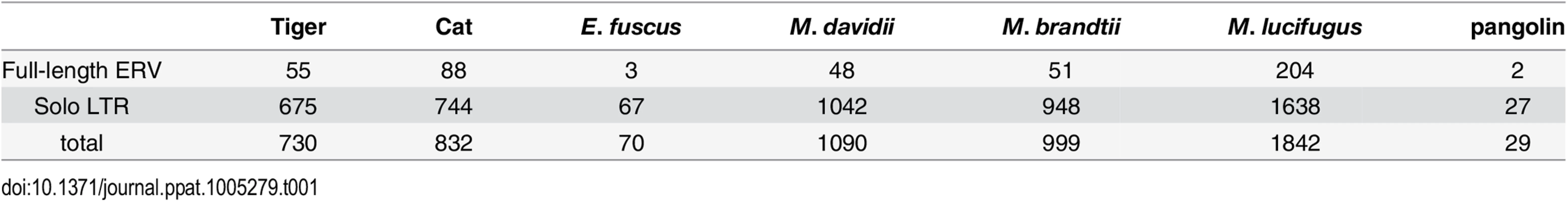 Copy number of MLERV1 related proviruses in different species.