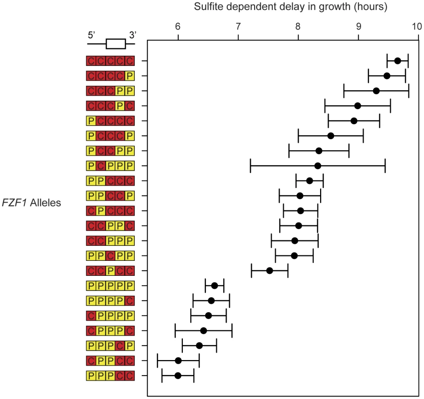 Multiple noncoding and coding changes contribute to sulfite resistance.