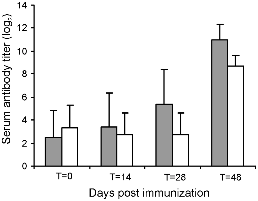 Serum antibody titer against <i>R. equi</i> of foals (n = 4) immunized orally (grey bars) at T = 0 and T = 14 days with attenuated <i>R. equi</i> strain RE1Δ<i>ipdAB</i> (5×10<sup>7</sup> CFU) and challenged at T = 28 days with <i>R. equi</i> strain 85F (5×10<sup>6</sup> CFU).