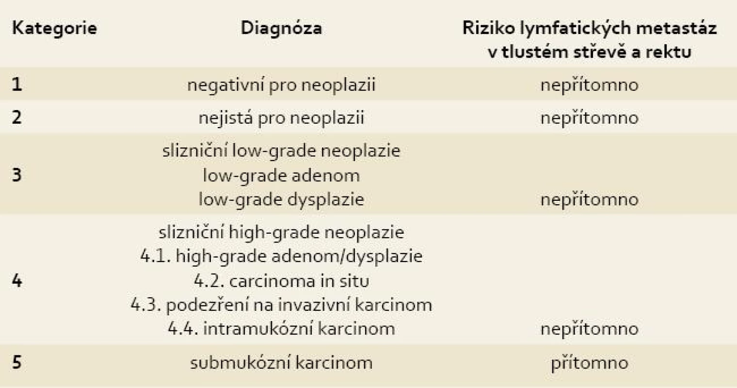 Revidovaná Vídeňská klasifikace gastrointestinálních epiteliálních neoplazií.
Tab. 1. The revised Vienna classification of gastrointestinal epithelial neoplasia.