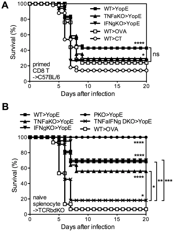 TNFα and IFNγ produced by YopE<sub>69–77</sub>-specific CD8 T cells have complementary roles during protection against <i>Y. pestis</i>.