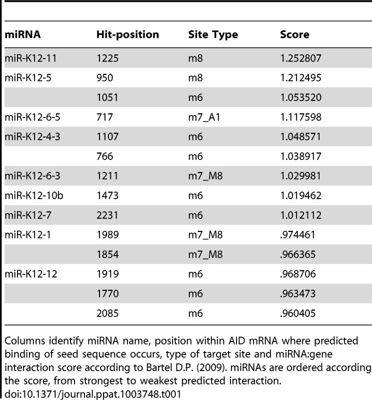 Bioinformatic Analysis of KSHV miRNAs binding to human AID.