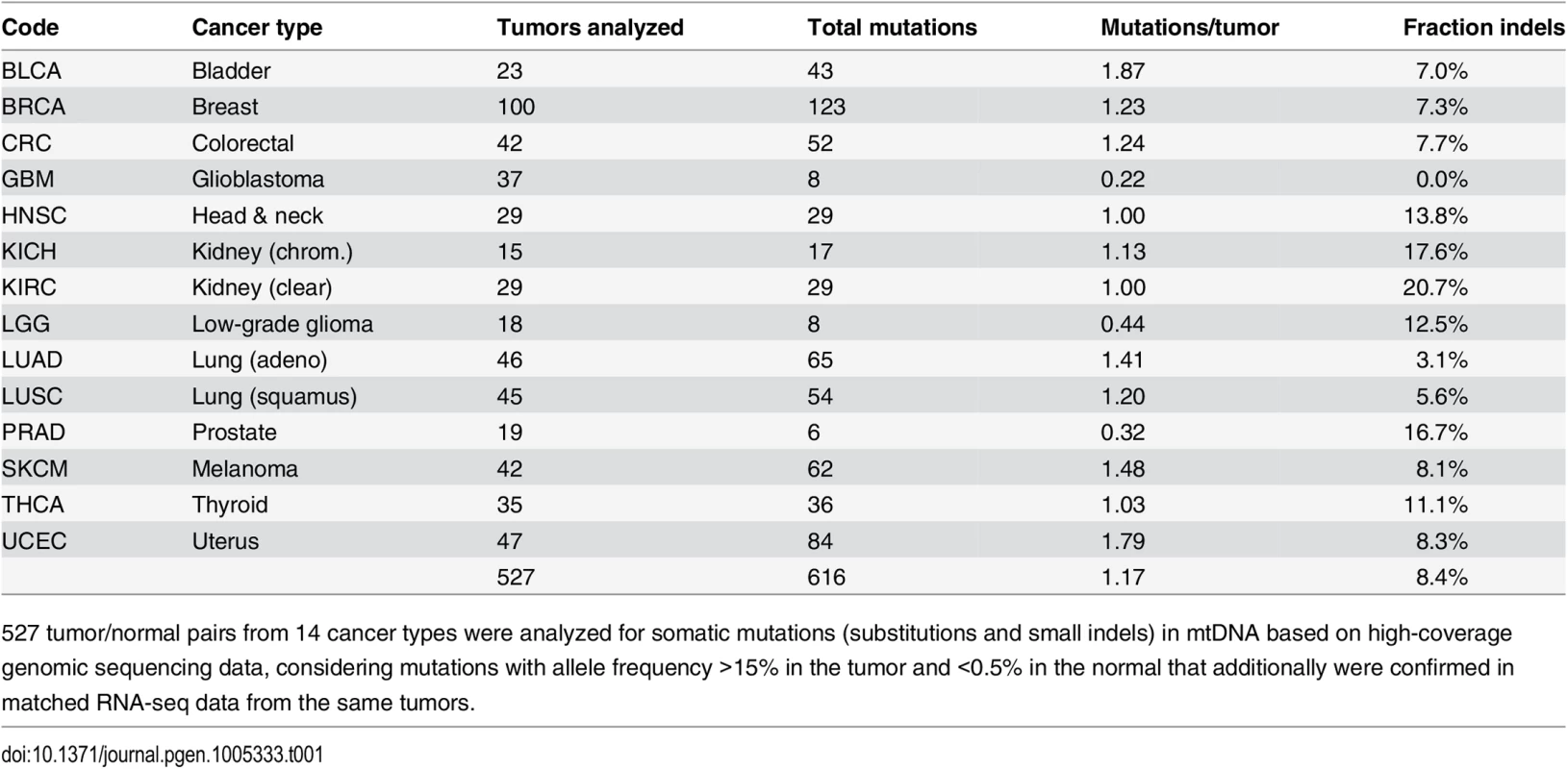 Overview of included tumors and detected somatic mtDNA mutations.