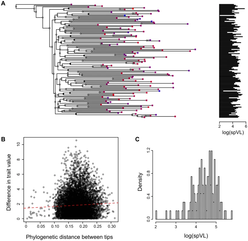 Combining phylogenies and trait values in the MSM strict dataset.