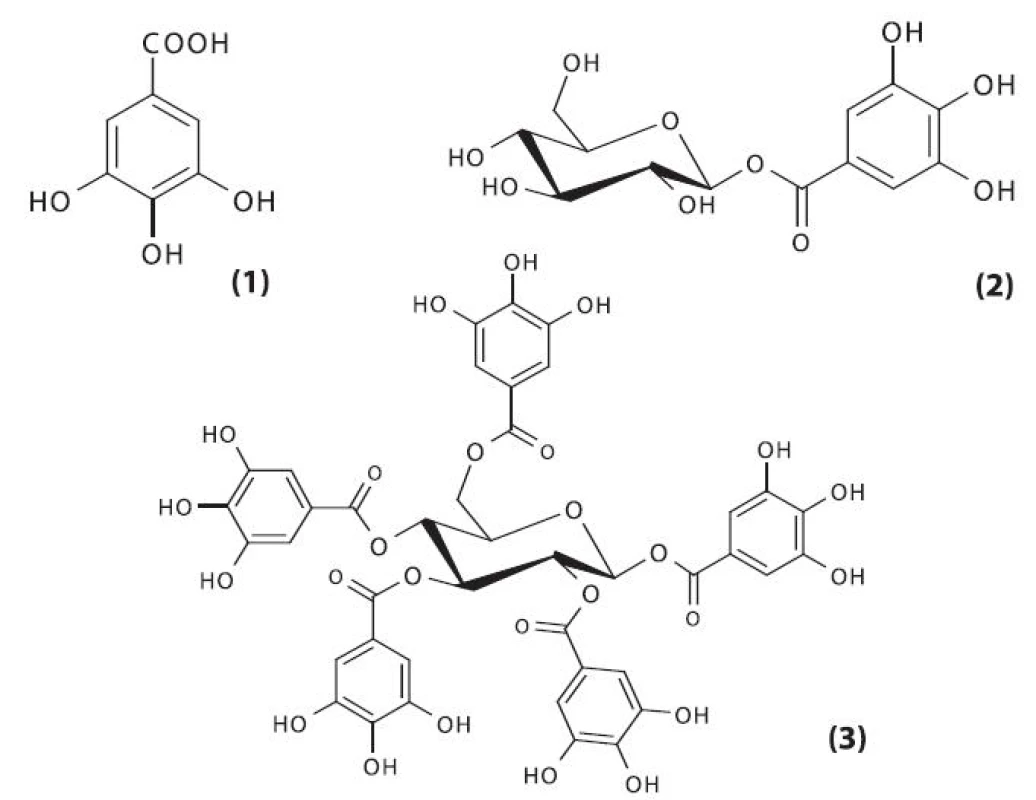 Prekurzory hydrolyzovatelných tříslovin
1 – kyselina gallová, 2 – 1-O-galloyl-ß-D-glukopyranosa (ß-glukogallin), 3 – 1,2,3,4,6-penta-O-galloyl-ß-D-glukopyranosa