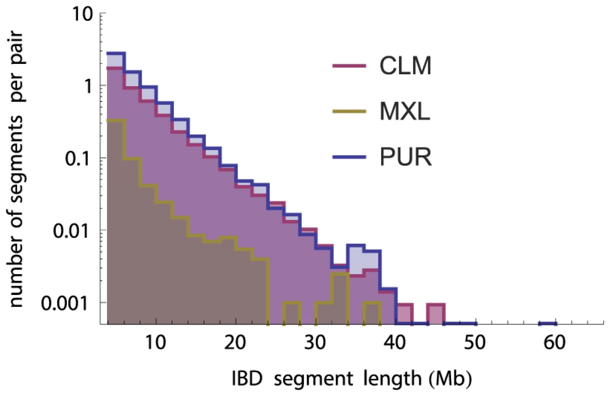 Number of IBD tracts by length bin in the three panel populations (independent of ancestry estimations), normalized by the number of individual pairs.