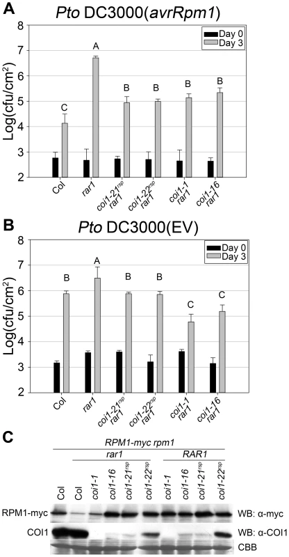 <i>coi1<sup>rsp</sup></i> mutants suppress <i>rar1</i> phenotypes and are not null allele.