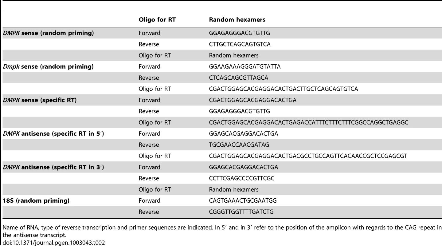 List of primers used for expression analysis.
