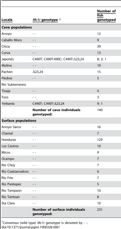 Summary of variant <i>Mc1r</i> genotypes collected from multiple cave and surface fish.