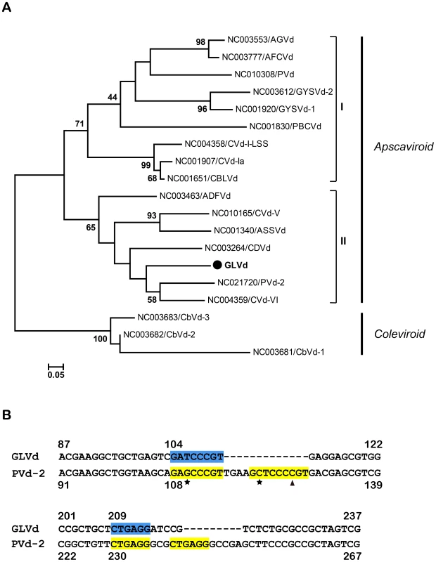 Phylogenetic analysis and alignment of GLVd.