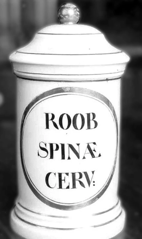 Porcelánová stojatka na Roob spinae cervi (zavařenina z plodů řešetláku)