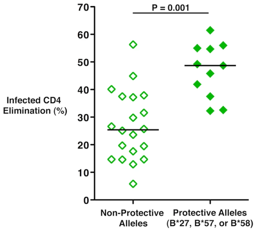 HIV-specific CD8<sup><b>+</b></sup> T-cell cytotoxic capacity in Ad5/HIV vaccine recipients was higher among individuals with protective HLA class I alleles.