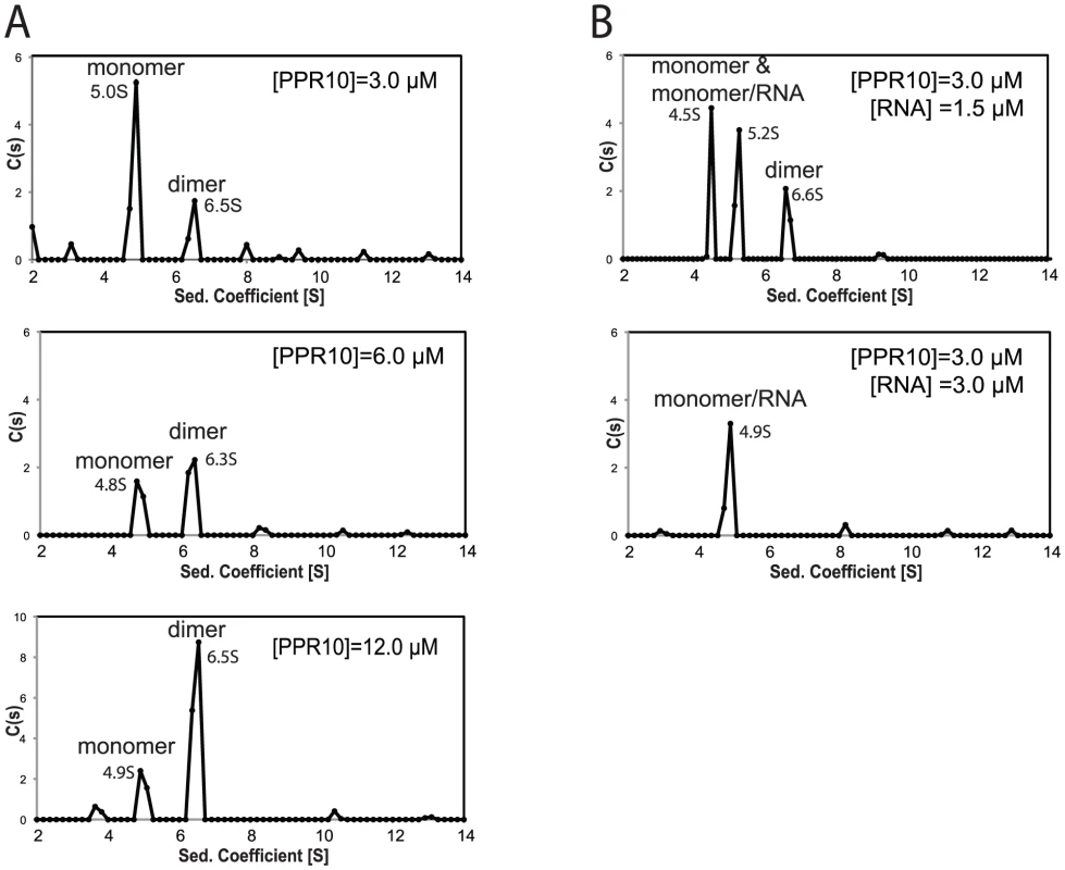 Sedimentation Velocity Analytical Ultracentrifugation of rPPR10 and rPPR10/RNA Complexes.