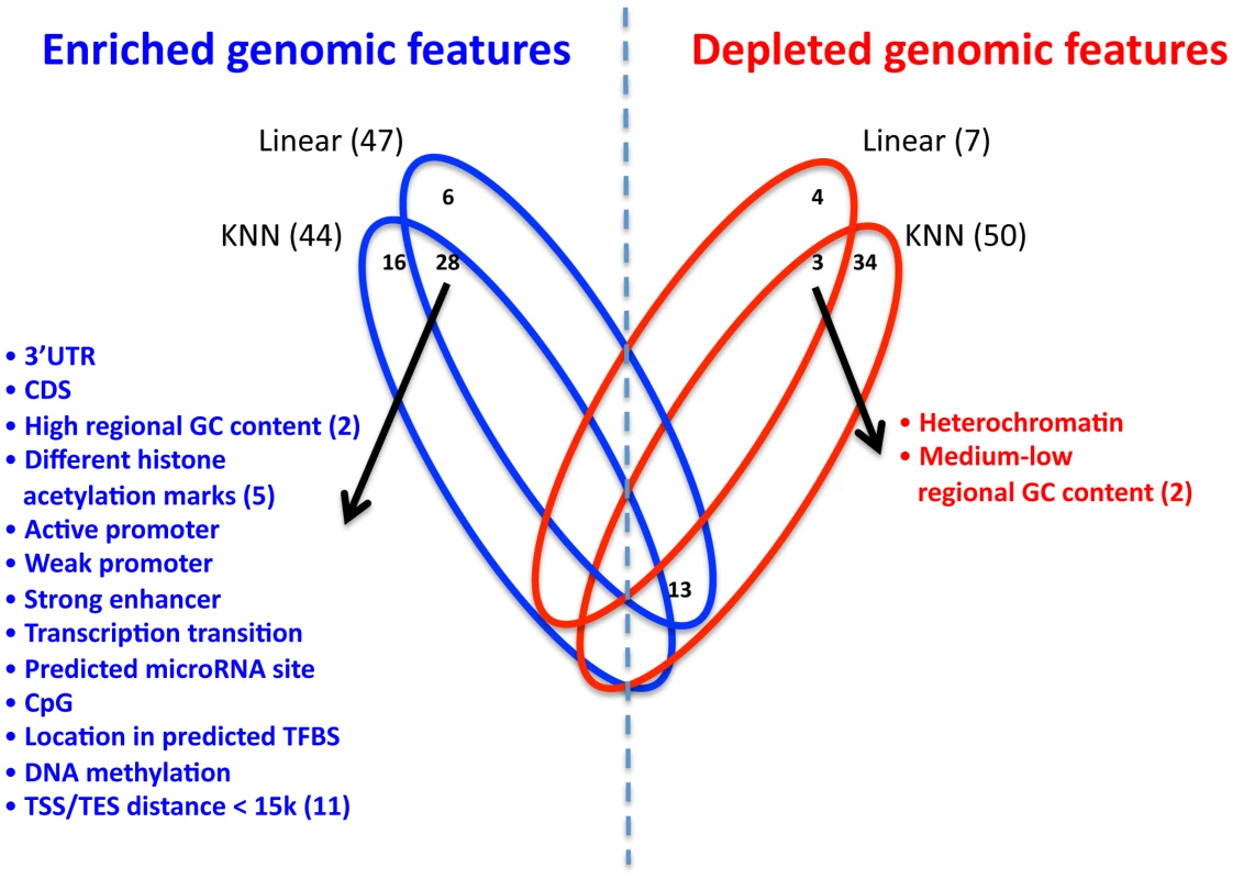 Enrichment and depletion of different genomic features in the multi–SNP models.