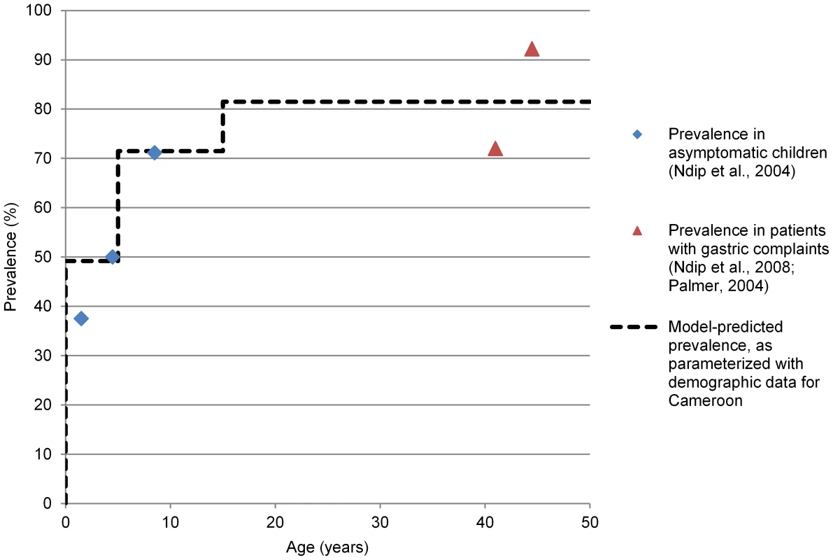 Model predicted prevalence under the base scenario versus observed <i>H. pylori</i> prevalences by age in Cameroon.